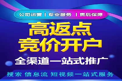 百度竞价广告成功案例集锦：如何玩转搜索引擎营销